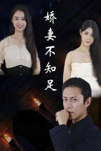 娇妻不知足 poster