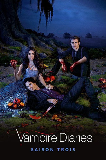 Vampire Diaries - S3 - Épisode 3 : La fin d'une liaison - Affiche
