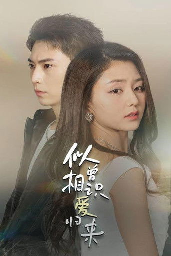 似曾相识爱归来 poster