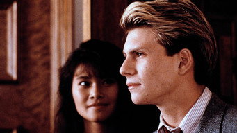 #13 Gleaming the Cube