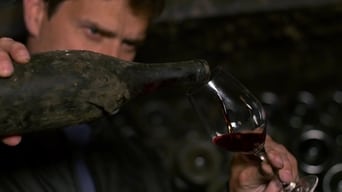 SOMM: Into the Bottle (2015)