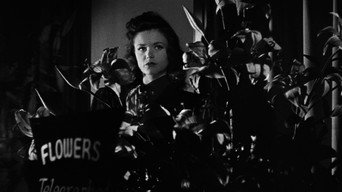 #24 Cat People