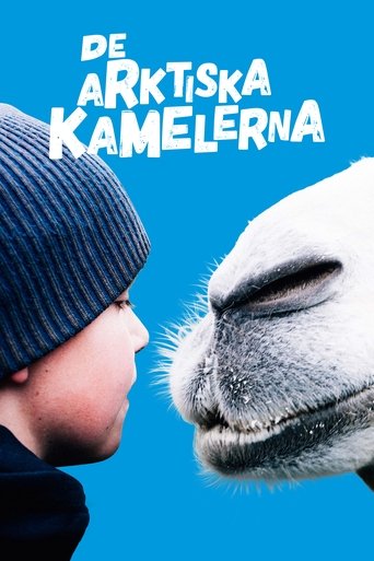 De arktiska kamelerna
