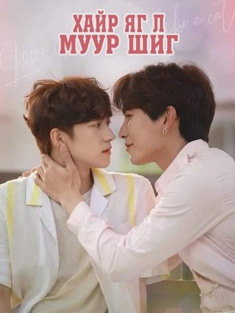 사랑은 고양이처럼