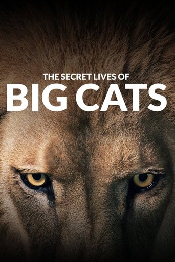 The Secret Lives Of Big Cats: Season 1