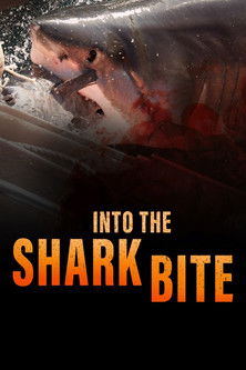 Into the shark bite