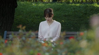 Sunflower media image