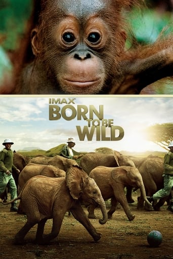 Poster för Born to Be Wild 3D