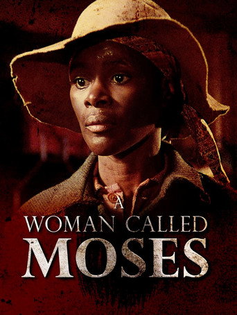 Poster 3