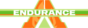 صورة من Endurance