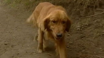 Episode 97 — Episode 97