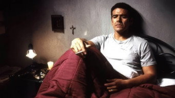 Pink Punch (2004)