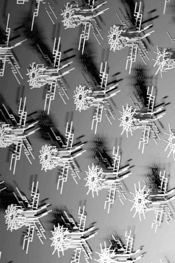 Simple Random Walks (2025)