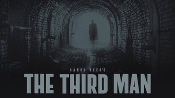 #5 The Third Man