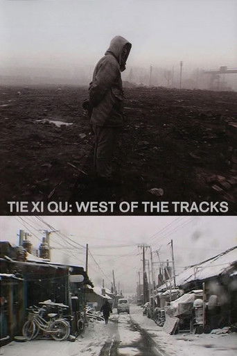 Tie Xi Qu: West of the Tracks poster 6