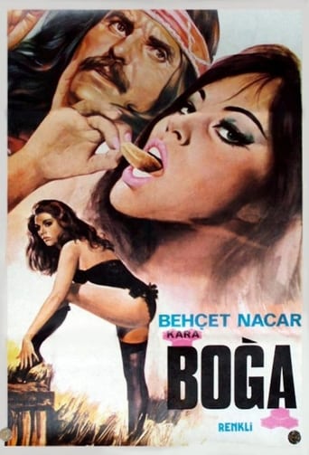 Poster of Kara Boğa