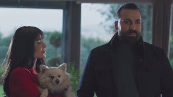 Episode 8 — Episode 8