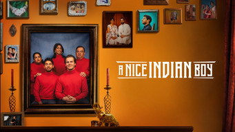 #5 A Nice Indian Boy