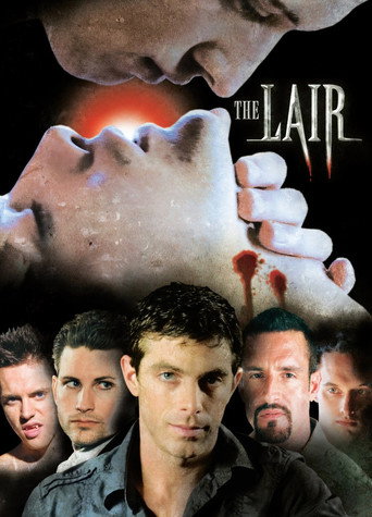Poster 8