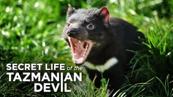 Secret Life of the Tasmanian Devil (2016)