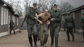Galeria 2 - El fotógrafo de Mauthausen