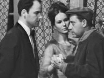 Episode 35 — Episode 35