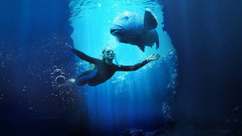 #15 Blueback