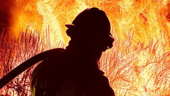 #5 Cal Fire
