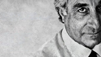 Chasing Madoff (2010)