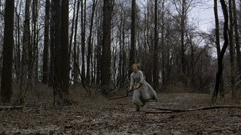 #52 Таємничий ліс