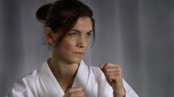 Irene Huss 1: The Torso (2007)