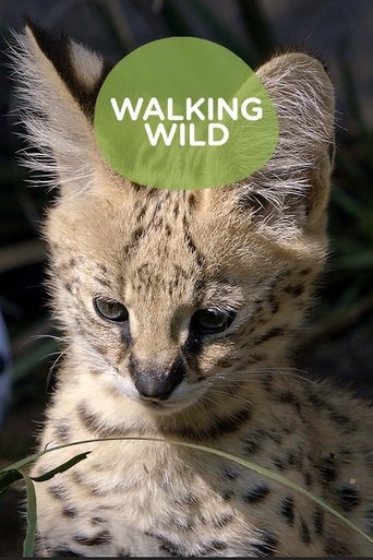 Walking Wild at the San Diego Zoo poster