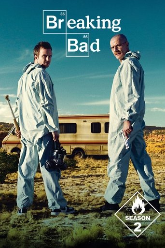 Bręstantis blogis / Breaking Bad (2009) 2 Sezonas