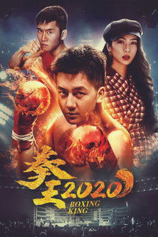 拳王2020 poster