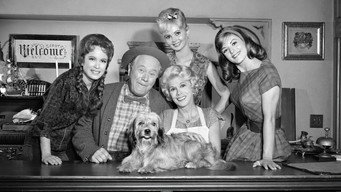#4 Petticoat Junction