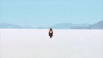 Коричневий кролик (2004)