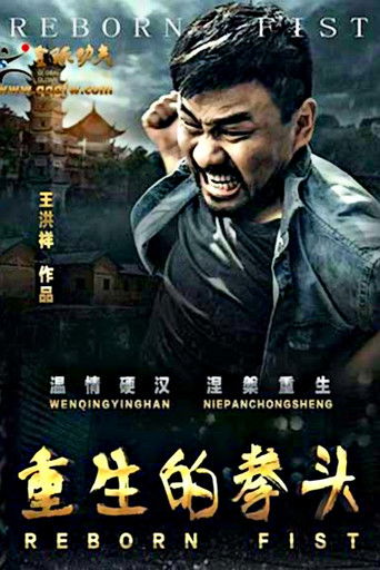 重生的拳头 poster