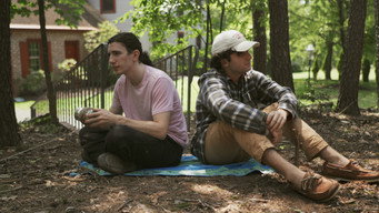 Understory (2022)