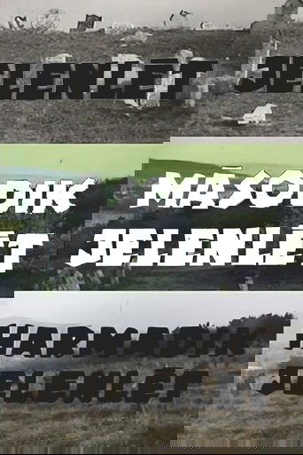 M&aacute;sodik jelenl&eacute;t (1978)