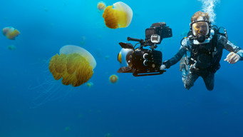 #4 Animals Up Close with Bertie Gregory