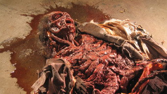 Cryptic Plasm (2015)