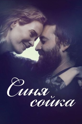 Синя сойка