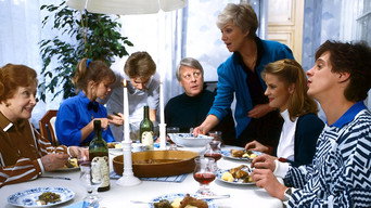 Die Wicherts von nebenan (1986-1991)
