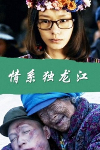 Cartell de 情系独龙江