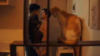 Episodio 5 — Episodio 5