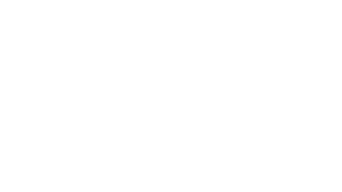 A Perfect Pairing logo