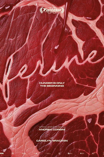 Ferine (公開年不明年)のポスター画像 - FindKey
