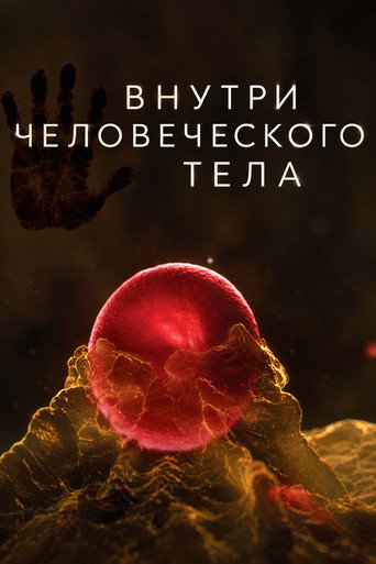 Внутри человеческого тела