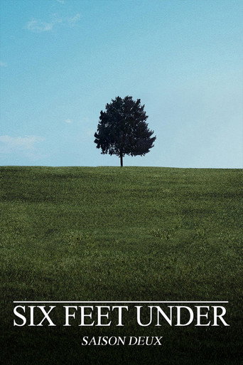 Six Feet Under - S2 - Épisode 2 : La vie ne tient qu'à un fil - Affiche