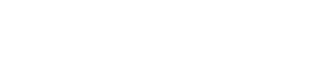 Seoul Vibe logo